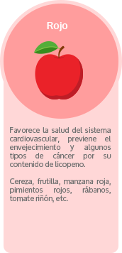 La meditación, el camino hacia un estilo de vida renovado