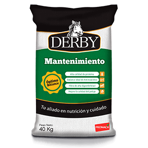 derby-mantenimiento-tqma